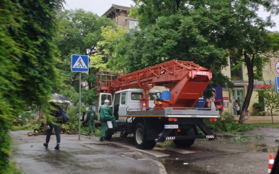 Последствия непогоды в Одессе: рухнуло несколько деревьев, из-за которых перекрыт проезд (фото) «фото»
