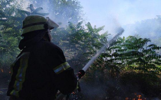 На Таирова горит пустырь возле бизнес-центра (фото, видео) «фото»