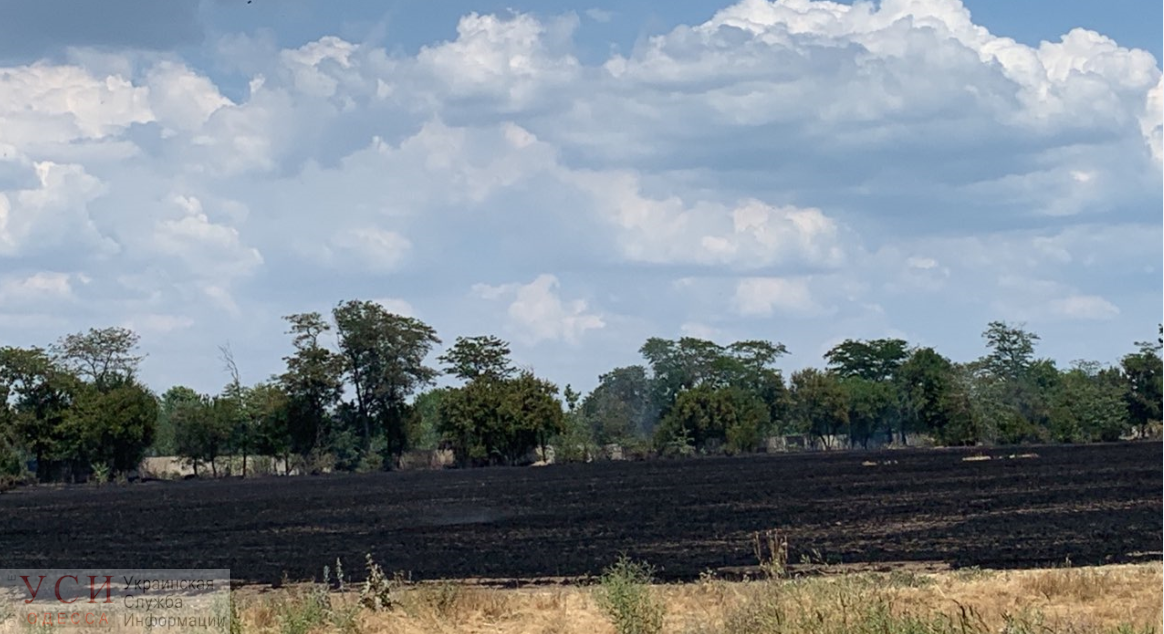 Возле Таировского кладбища масштабный пожар: выгорело 3 гектара поля  «фото»