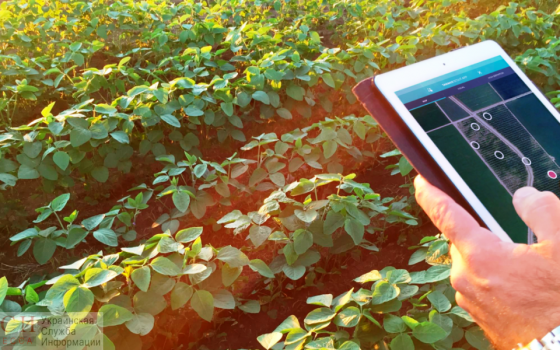 Нано-технологии в фермерстве – в Украине появилась уникальная платформа, которая мгновенно находит сорняки и рекомендует гербициды «фото»