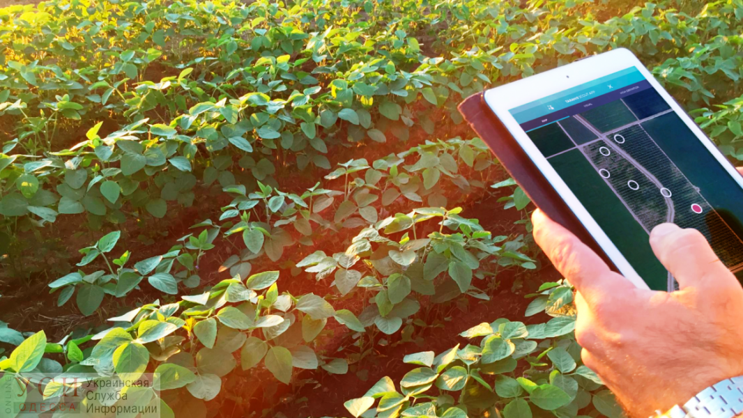 Нано-технологии в фермерстве – в Украине появилась уникальная платформа, которая мгновенно находит сорняки и рекомендует гербициды «фото»