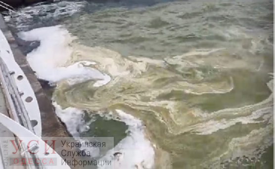 Вода на центральном пляже в Одессе покрылась грязной пеной (фото, видео) «фото»