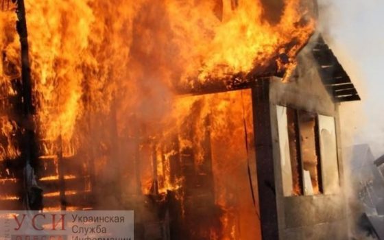 Во время пожара в Одесской области погибло 12 животных «фото»