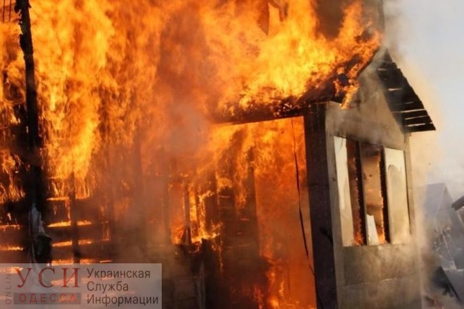 Во время пожара в Одесской области погибло 12 животных «фото»