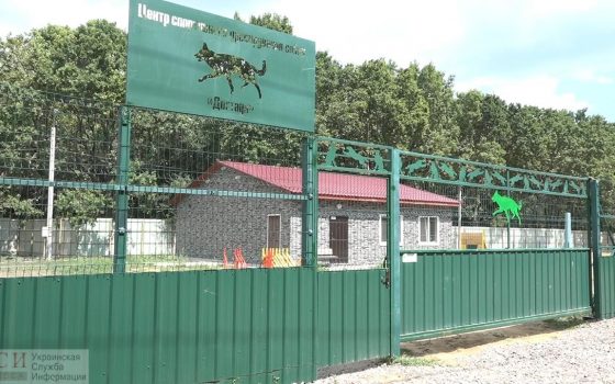 В мэрии узаконили скандальный “Догтаун” на территории парка 411-й батареи «фото»
