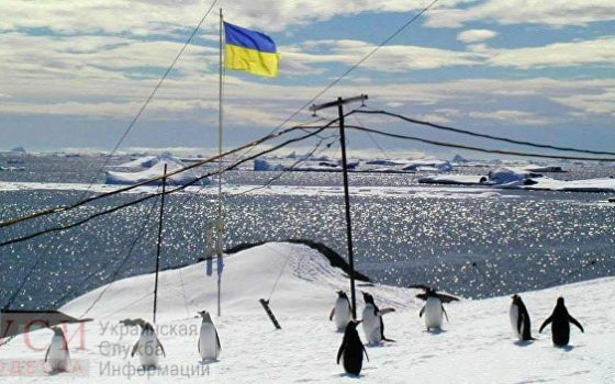 Украинцы в Антарктиде проголосовали, отдав предпочтение трем партиям usionline.com Украинцы в Антарктиде проголосовали, отдав предпочтение трем партиям «фото»