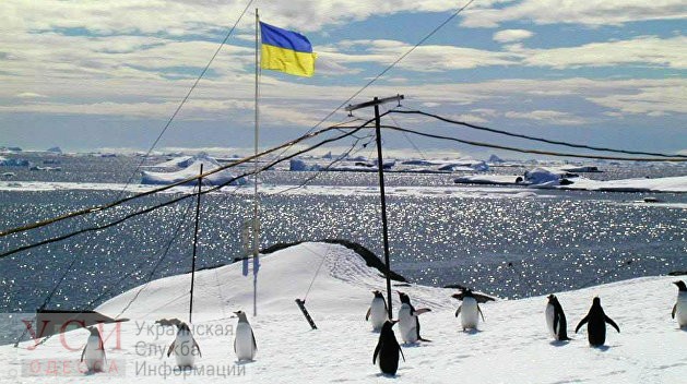 Украинцы в Антарктиде проголосовали, отдав предпочтение трем партиям usionline.com Украинцы в Антарктиде проголосовали, отдав предпочтение трем партиям «фото»