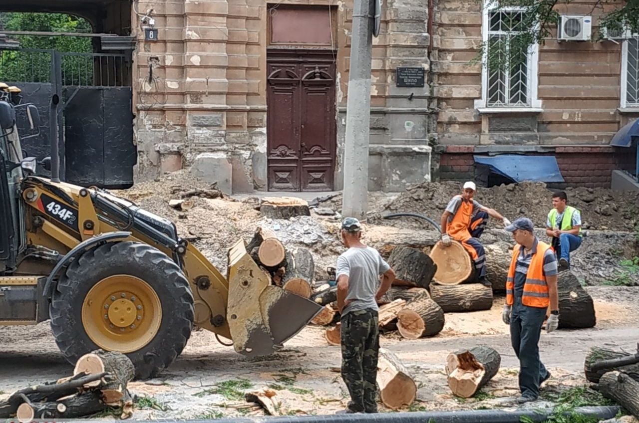 Спил деревьев на Софиевской: мэрия выдавала разрешения “под шумок” (фото) «фото»