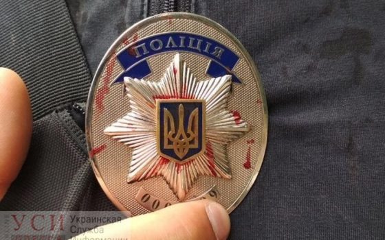 В Затоке пьяный мужчина избил полицейского палкой «фото»