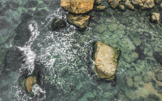 Чистая вода и золотой берег: красота каменистых пляжей Фонтанки (фоторепортаж) «фото»