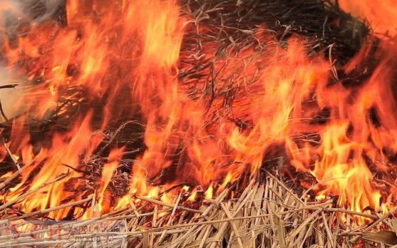 В селе Одесской области сгорели 300 килограмм сена и сарай «фото»