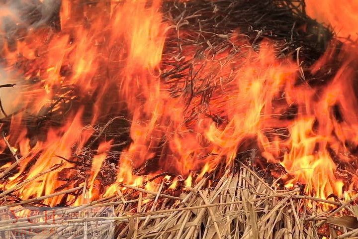 В селе Одесской области сгорели 300 килограмм сена и сарай «фото»
