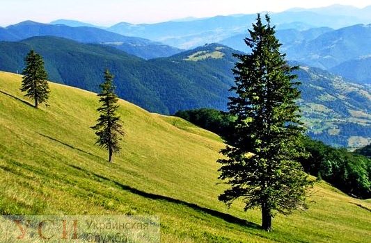 В Карпатах двух одесских туристов эвакуировали из-за плохого самочувствия usionline.com В Карпатах двух одесских туристов эвакуировали из-за плохого самочувствия «фото»