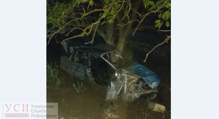 В Аккермане иномарка на скорости влетела в дерево: водитель погиб на месте, трое пассажиров в больнице «фото»