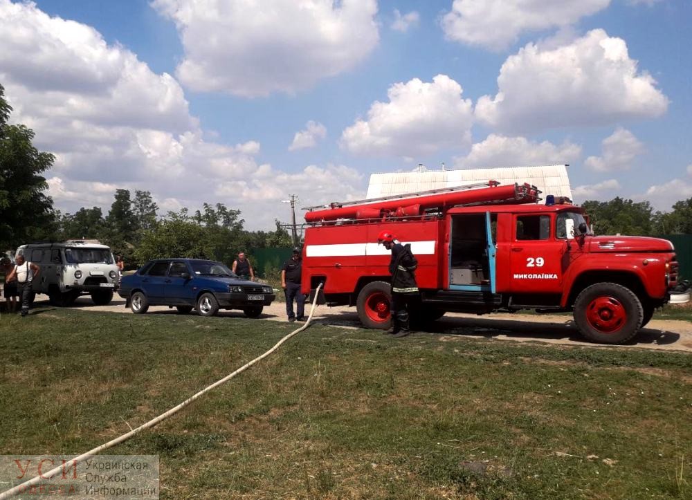 На пожаре в Одесской области погибли мать с сыном (фото) «фото»