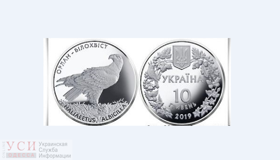 В Украине введут в обращение памятные монеты, посвященные исчезающему виду хищных пернатых «фото»