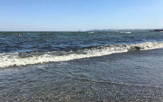 В Лузановке не рекомендуют купаться: морская вода не соответствует нормам «фото»