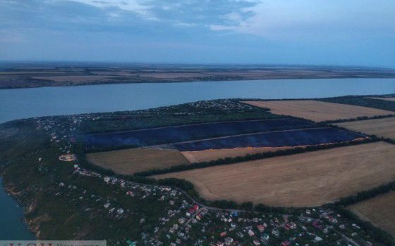Фермеры выжгли два поля в Одесской области «фото»