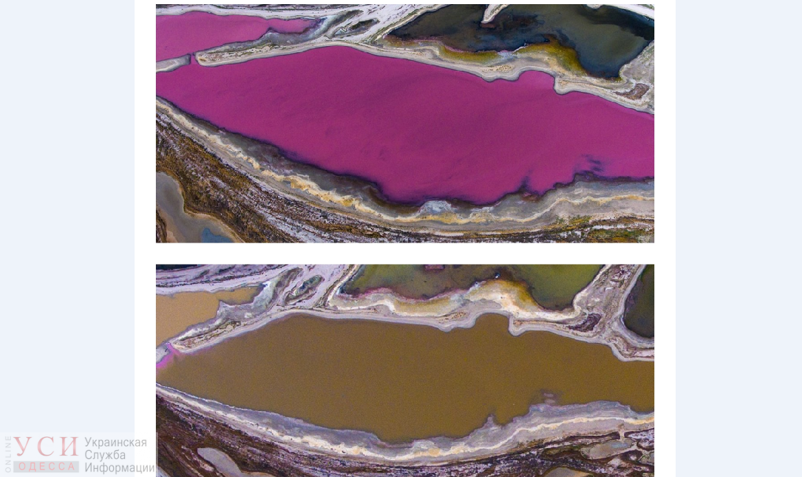 Озеро в Одесской области изменило свой цвет от розового до коричневого (фото) «фото»