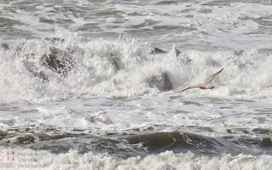 Водолазы ищут ребенка, которого накрыло волной и унесло в море под Одессой usionline.com Водолазы ищут ребенка, которого накрыло волной и унесло в море под Одессой «фото»
