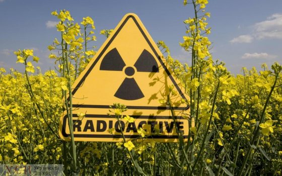 Одесская мэрия: радиационный фон в Одессе в пределах нормы «фото»