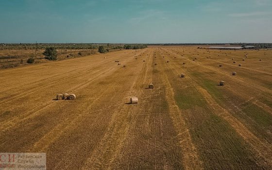 В Одессе будет ясный и жаркий день «фото»