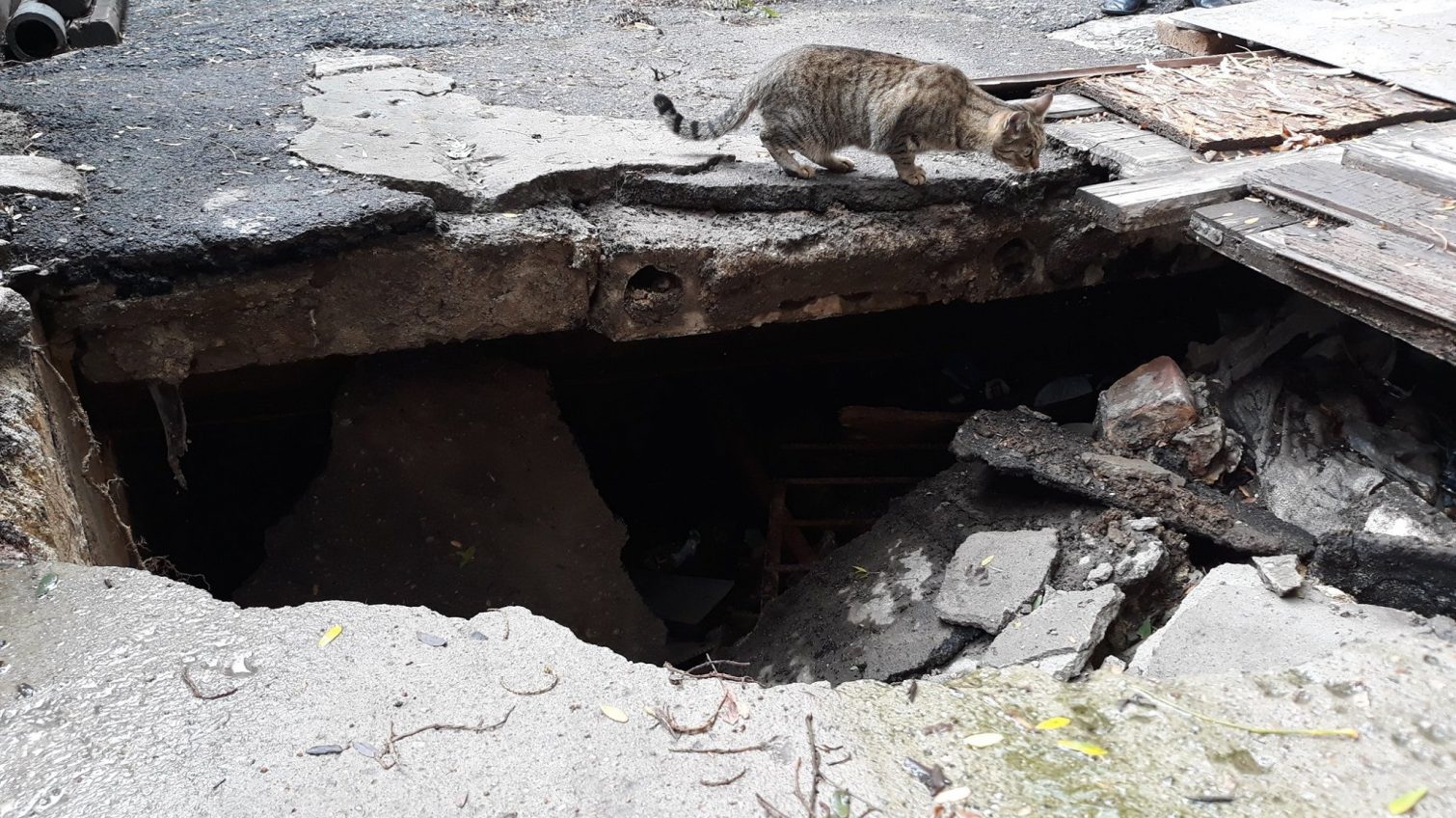После ливня в старом центре Одессы обрушился подвал, ведущий в катакомбы (фото) «фото»
