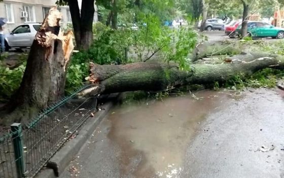 Стихия в Одессе повалила деревья (фото) usionline.com Стихия в Одессе повалила деревья (фото) «фото»