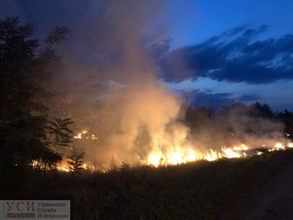 В Раздельнянском районе произошел сильный пожар на лесополосе вдоль трассы Киев-Одесса (видео) «фото»