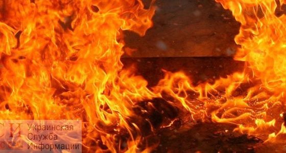 Ночью в парке Шевченко горел детский автодром usionline.com Ночью в парке Шевченко горел детский автодром «фото»