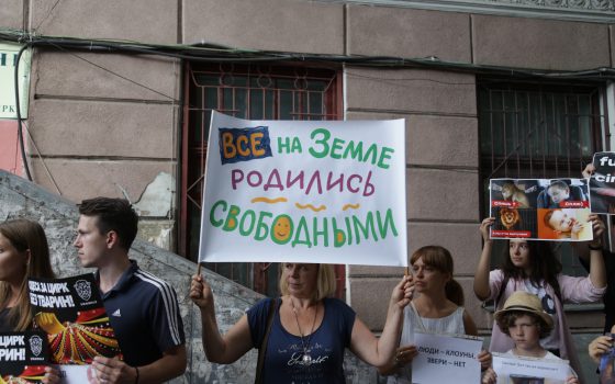 “Цирк без животных!”: одесские зоозащитники вышли на акцию протеста (фото) «фото»