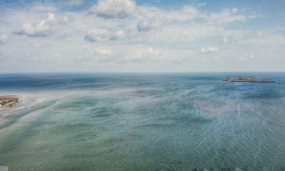 Березань: красоты природы уникального острова в Черном море (фото) «фото»