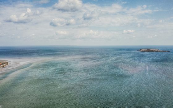 Березань: красоты природы уникального острова в Черном море (фото) usionline.com Березань: красоты природы уникального острова в Черном море (фото) «фото»