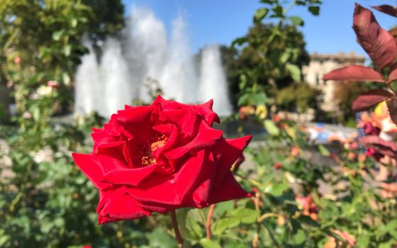 Последний день лета порадует одесситов солнечной погодой «фото»