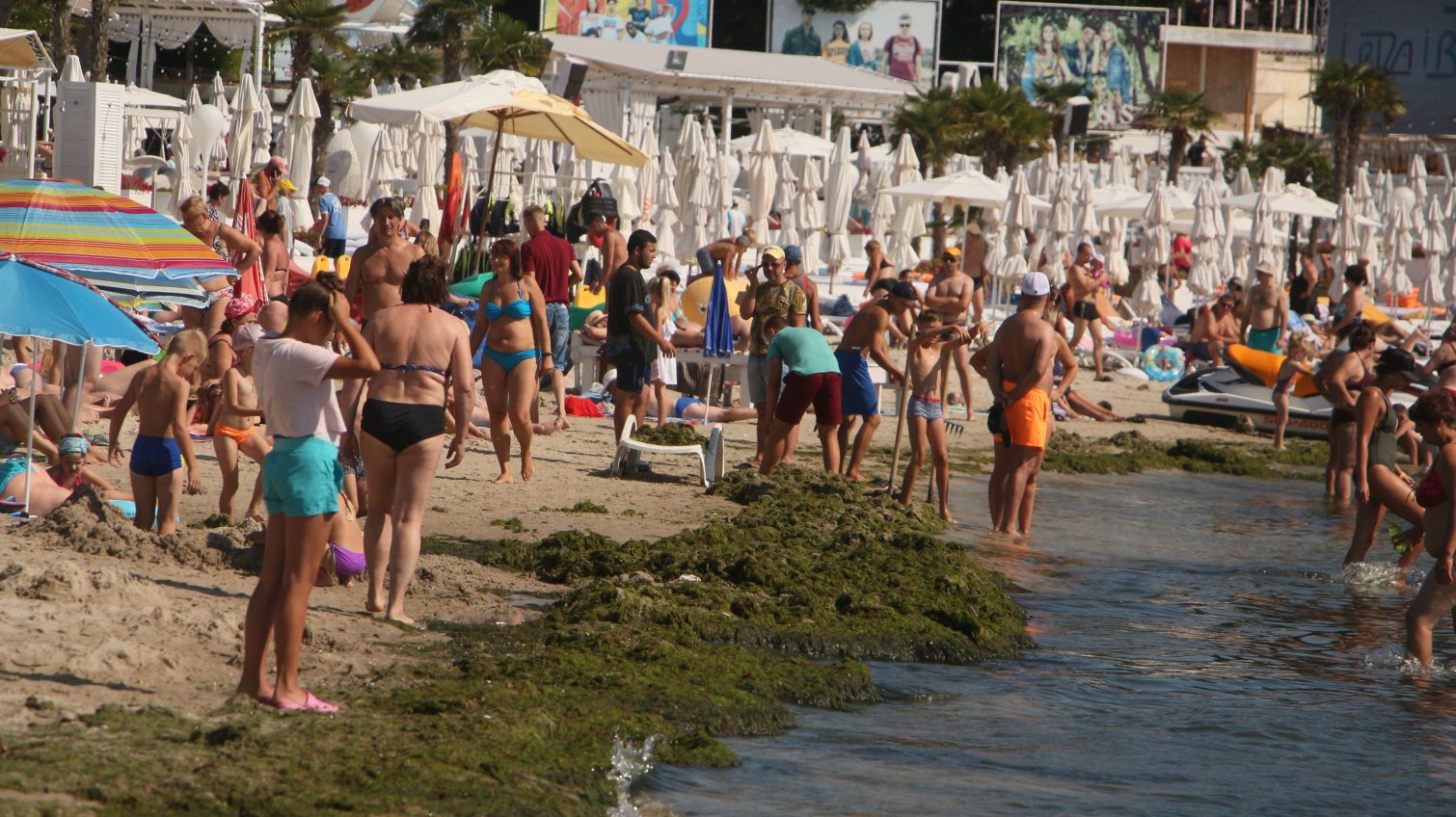 После ливня в Одессе рекомендуют воздержаться от купания на пляжах «фото»