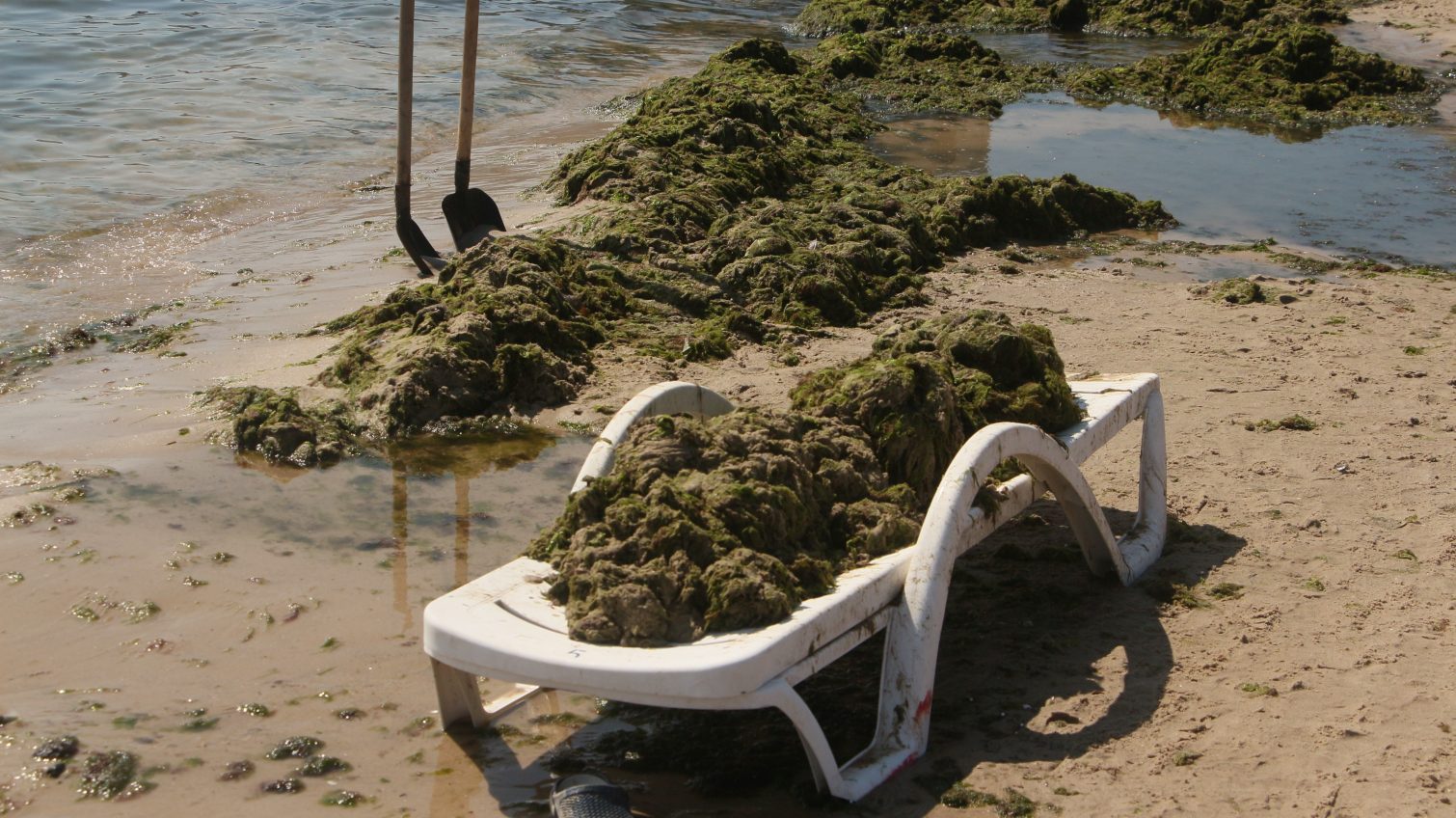 Аркадия после стихийного бедствия: болото вместо моря, разруха и отдыхающие в грязи (фоторепортаж) «фото»