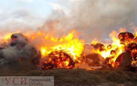 Всю ночь спасатели боролись с масштабным пожаром под Одессой: горело 700 тонн сена на частной ферме, возможная причина – поджог usionline.com Всю ночь спасатели боролись с масштабным пожаром под Одессой: горело 700 тонн сена на частной ферме, возможная причина – поджог «фото»