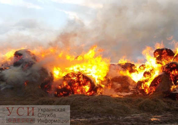 Всю ночь спасатели боролись с масштабным пожаром под Одессой: горело 700 тонн сена на частной ферме, возможная причина – поджог «фото»