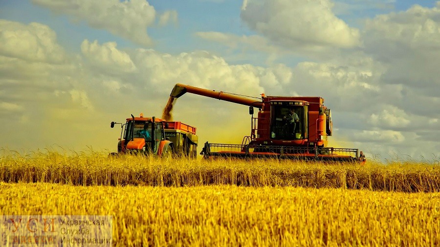 В Одесской области намолотили больше всего зерна в Украине «фото»