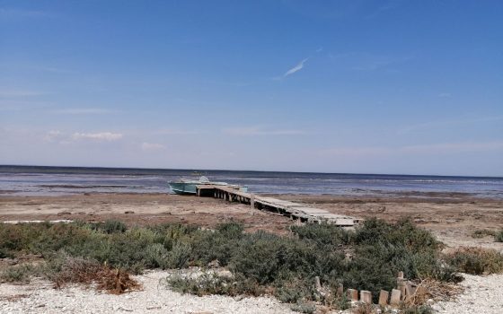 Тузловская Амазония: красота Нацпарка “Тузловские лиманы” (фото, видео) «фото»
