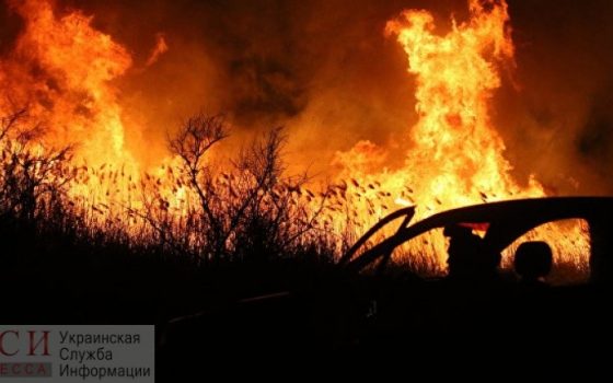 В Одесской области массово горят камыши и сухая трава: спасатели призывают не жечь костры и не бросать окурки usionline.com В Одесской области массово горят камыши и сухая трава: спасатели призывают не жечь костры и не бросать окурки «фото»