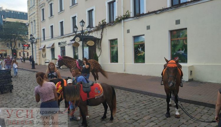 Полицейские составили админпротоколы на “лошадниц” на Дерибасовской «фото»