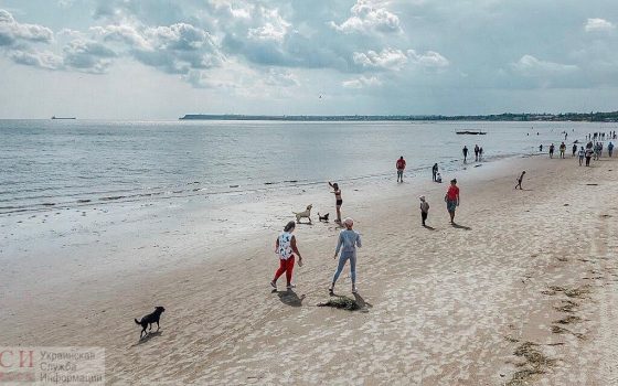 Последний день недели в Одессе будет теплым и без осадков «фото»
