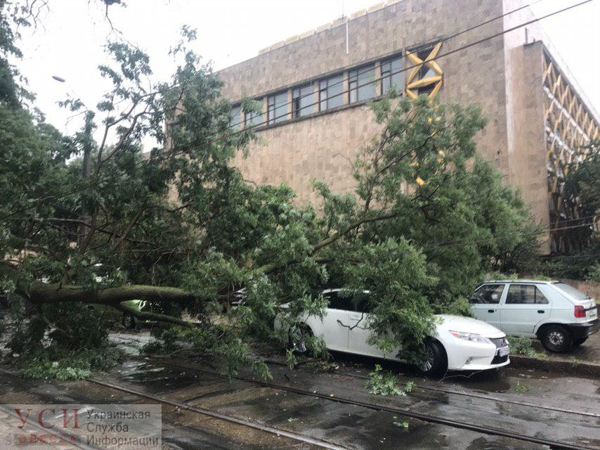Непогода в Одессе: возле Музкомедии дерево рухнуло на автомобиль (фото) «фото»