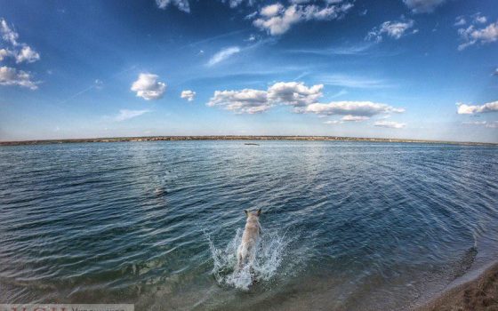 Пятница в Одессе будет жаркой и ясной «фото»