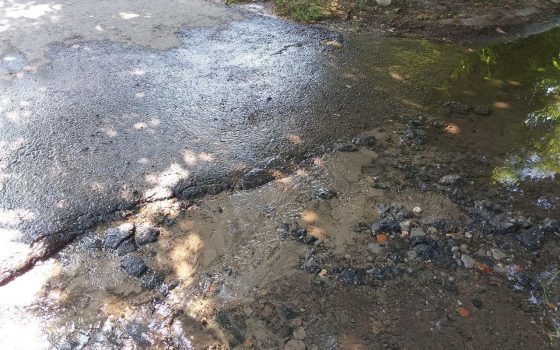 На Слободке второй день течет вода из-под асфальта. Ремонтники ждут разрешения на раскопки (видео) «фото»