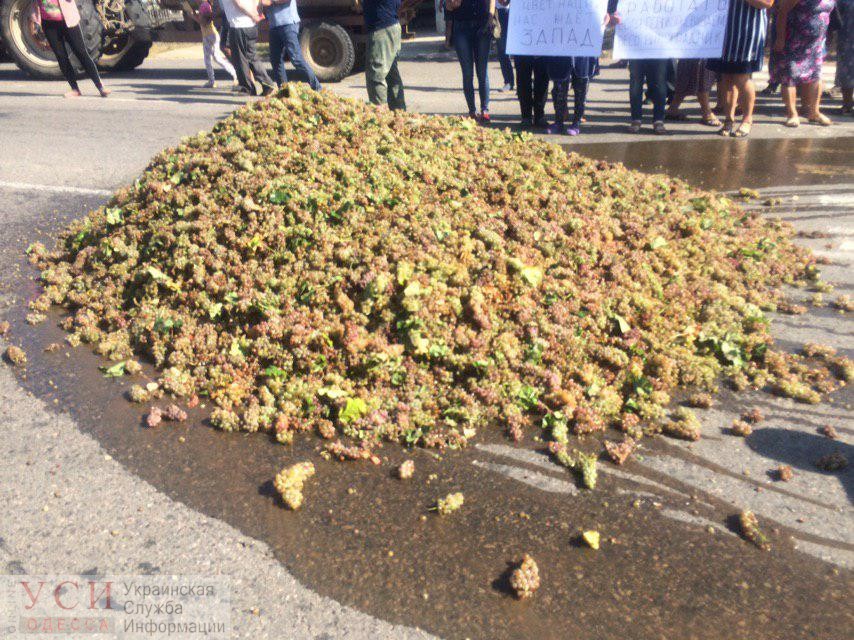 Виноградари Бессарабии высыпали гору “ненужного” винограда на трассу в знак протеста: жалуются на экспортеров из ЕС и требуют снижения цен на алкоголь (фото) «фото»