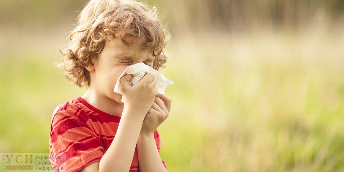 Аллергия: откуда она, как лечат и как с ней живут «фото»