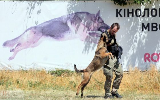 Полиция Одесской области заплатит 10 миллионов за ремонт кинологического центра в Одессе и СИЗО в Белгороде-Днестровском «фото»