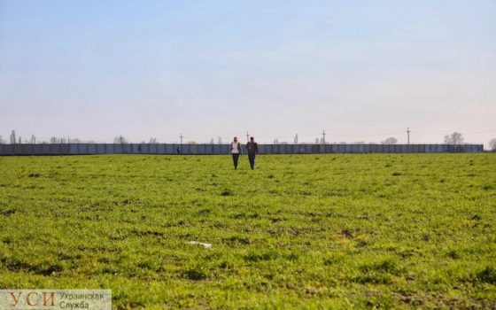 В Одессе 27 гектаров полей рядом с “Радужным” продали киевлянам в три раза дешевле рыночной цены usionline.com В Одессе 27 гектаров полей рядом с “Радужным” продали киевлянам в три раза дешевле рыночной цены «фото»